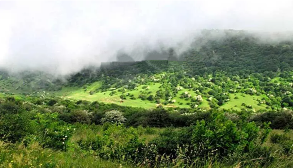 پارک جنگلی فندقلو یکی از بهترین پارک های اردبیل