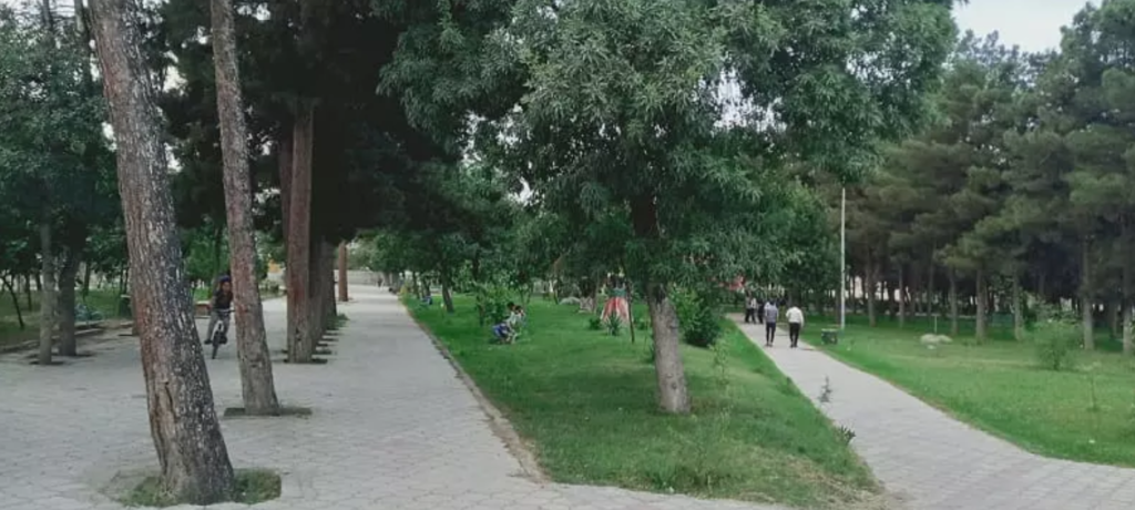 پارک کاج پارس اباد اردبیل